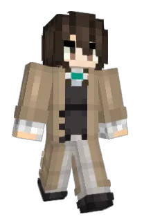 ParadiseFalls's Minecraft skin