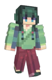 Skin preview