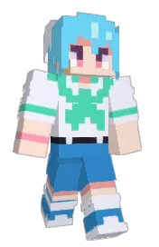 Skin preview