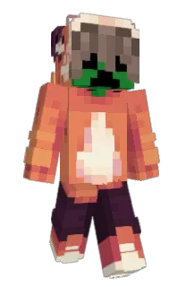 Front of WiktorrrK's skin