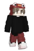 nelzw