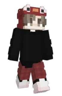 Front of nelzw's skin