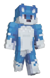 Front of Pakins's skin