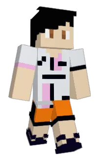 Front of Minecraft skin