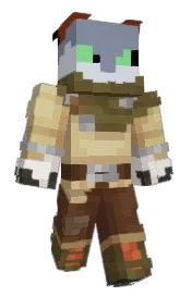 Skin preview