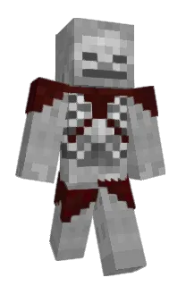 Front of altair01's skin