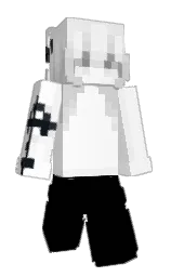 white and black Minecraft skin — Slim model