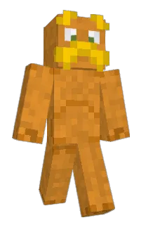 Front of yr782's skin