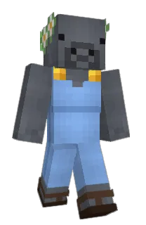 Front of Ymixle's skin