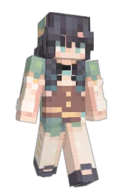 Skin preview