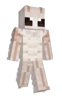 Front of VhsFrost's skin