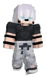 aluminium and french gray Minecraft skin — Classic model