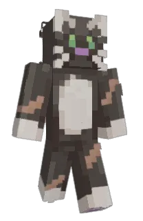 Front of wh4tzit's skin