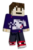 PokeKidMax