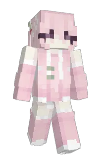 dumbpup's Minecraft skin