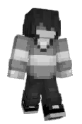 NovaExpert