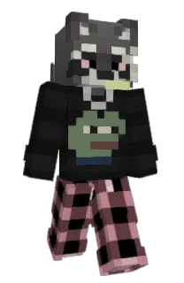 Front of Schoomsy's skin