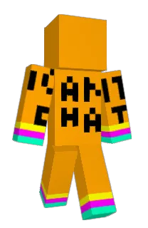 Front of Aarviin's skin