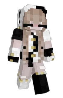 Front of Ray22zz's skin