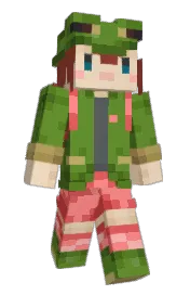 Skin preview