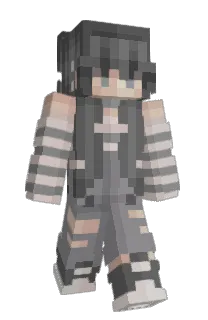 Zappy_Zebra's Minecraft skin