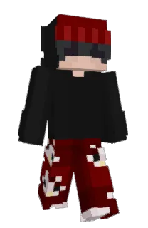 Front of Parxnoid's skin