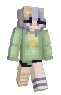 Front of notalice's skin