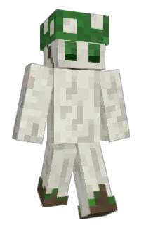 BigCountry_67's Minecraft skin