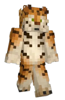 Front of Dorsall's skin