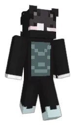 Minecraft skin — Classic model