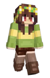 Skin preview
