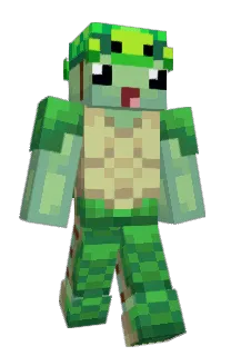 Front of vactend's skin