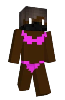 Front of Minecraft skin