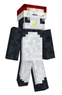 Front of 28jz's skin