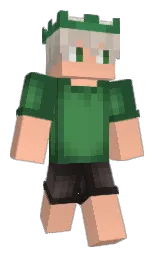 vaipe's Minecraft skin wearing the Zombie Horse cape