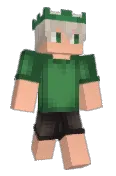 vaipe