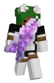 Front of denzesLS0's skin