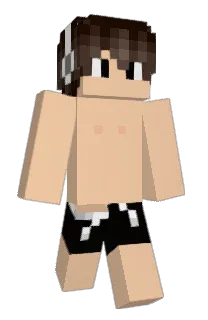 bigfly1's Minecraft skin