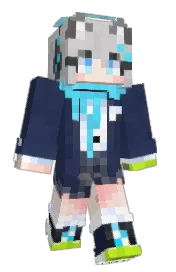 Skin preview