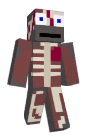 Skin preview