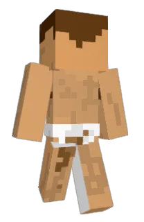Front of 89ko's skin