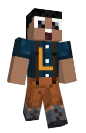 Skin preview
