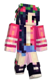 Skin preview