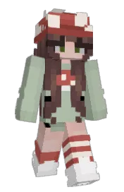 Skin preview