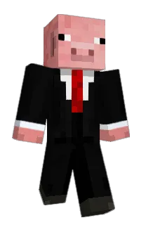 Front of Nelaaa6399's skin