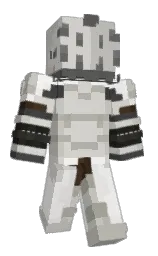 Minecraft skin — Classic model