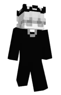 Front of NelmEs's skin