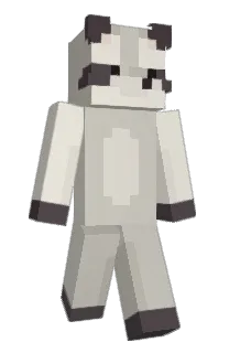 Front of kakikkita's skin