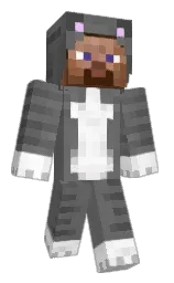 Classic Minecraft skin