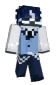 VV3NUS_
